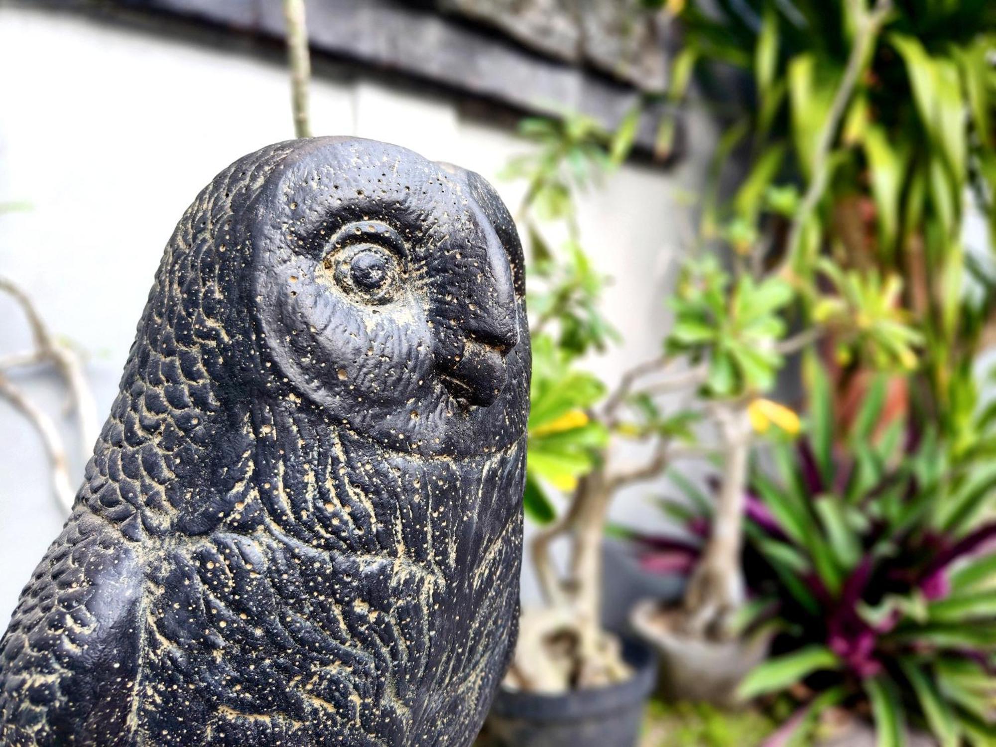 Bed and Breakfast Panda Lumbung Sanur Exterior foto